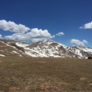 Meet your Posher, Peter